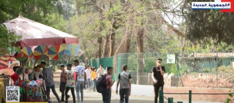 صورة من مقطع الفيديو