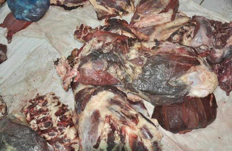 محافظ المنوفية: ضبط 300 كجم لحوم غير صالحة للاستهلاك الآدمى