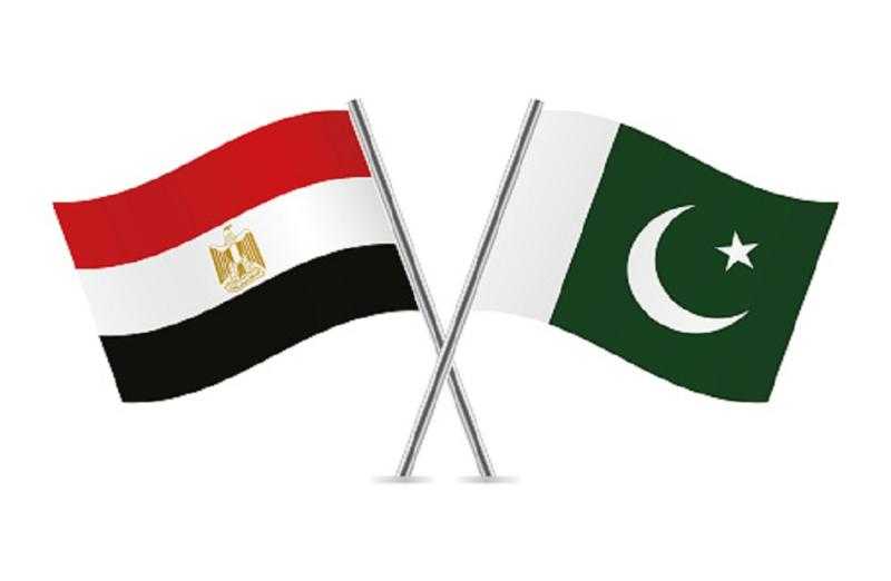 باكستان تشكر مصر على مساعدتها في إجلاء رعاياها من السودان