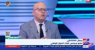 جمال الكشكي: مصر تتبنى فكرة السلام والاستقرار في المنطقة
