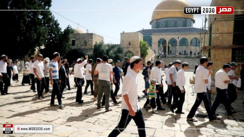 القدس 