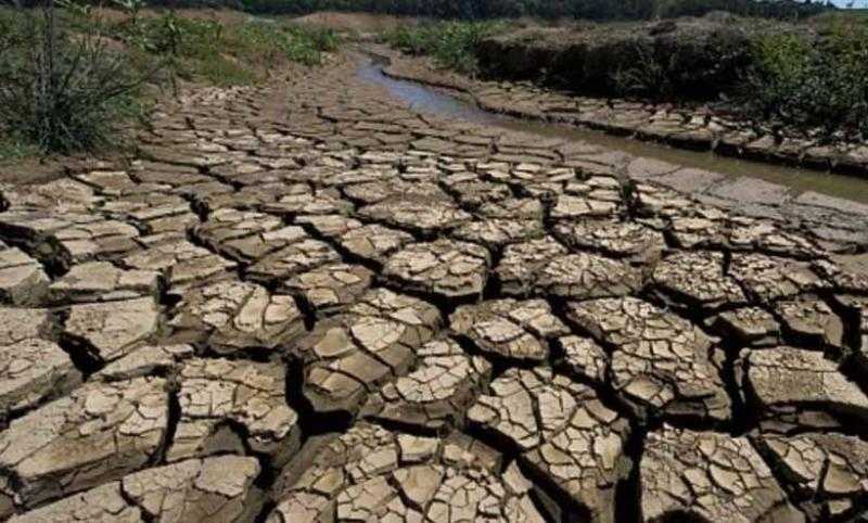 عبد المسيح سمعان: أفريقيا تشهد موجات جفاف الأسوأ منذ 40 عاما.. «فيديو»