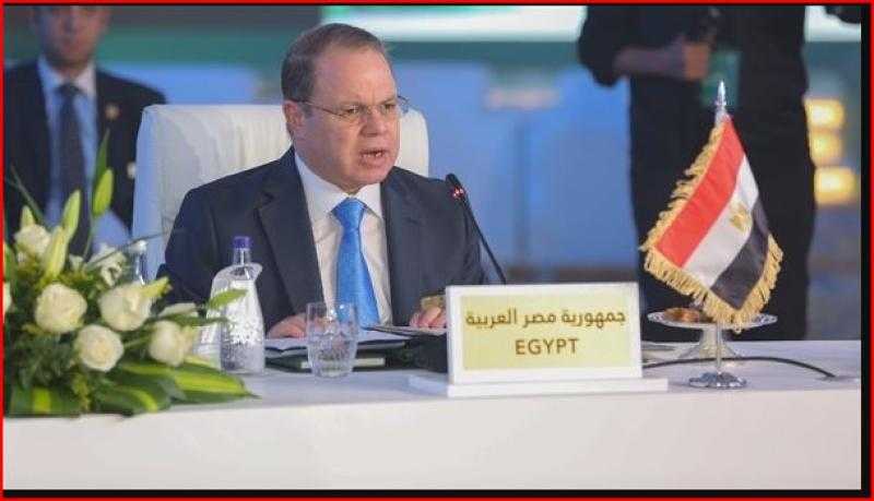 قرار جديد من النائب العام ضد المتهمة بقتل ابنها في الشرقية