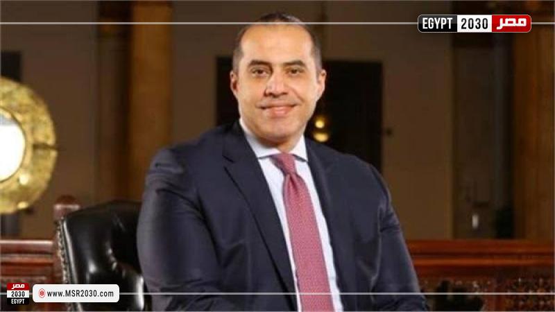 المستشار محمود فوزي