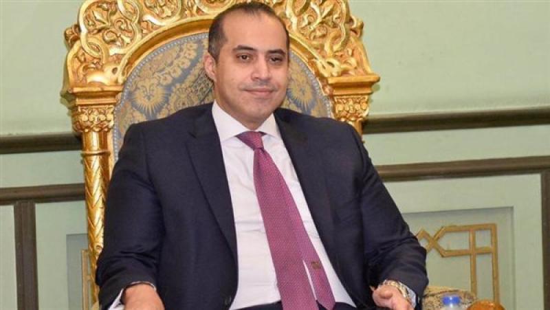 المستشار محمود فوزي 