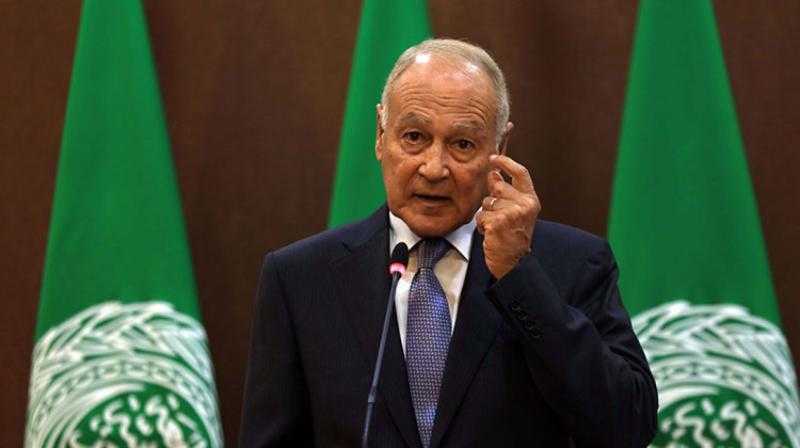 أحمد أبو الغيط: مليشيات الدعم السريع قد تتحول إلى قنابل موقوتة - فيديو