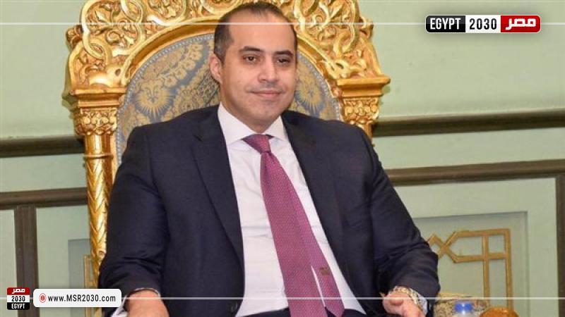  المستشار محمود فوزي