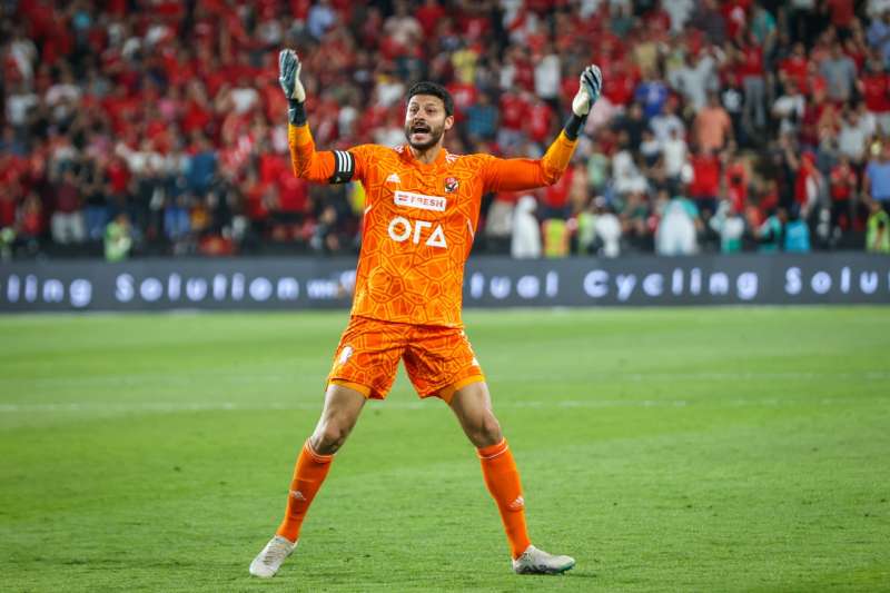 محمد الشناوي