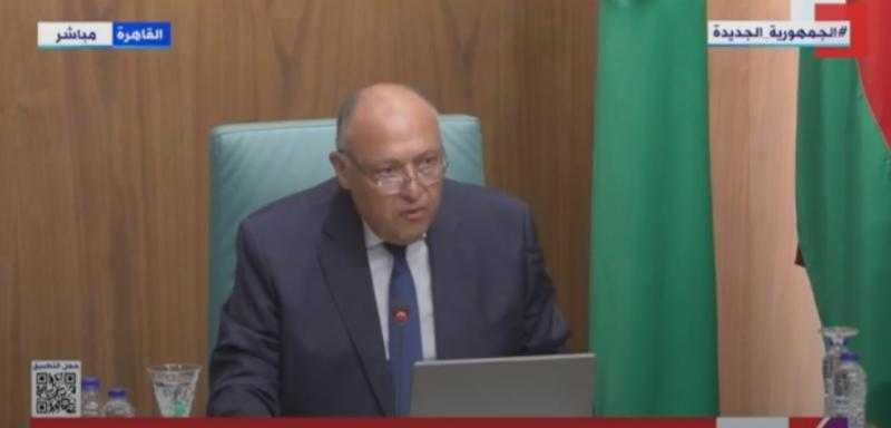 شكري: معاناة سوريا استمرت نتيجة تعثر التوصل لـ تسوية سياسية للأزمة