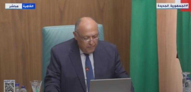 وزير الخارجية: السبيل الوحيد لتسوية الأزمة السورية هو الحل السياسي لها دون تدخلات