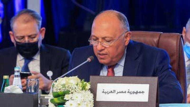 مصر: الحسم العسكري بسوريا أمر غير واقعي ويجب إيجاد حل سياسي