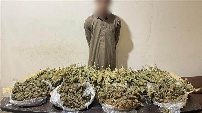 المواد المخدرة 
