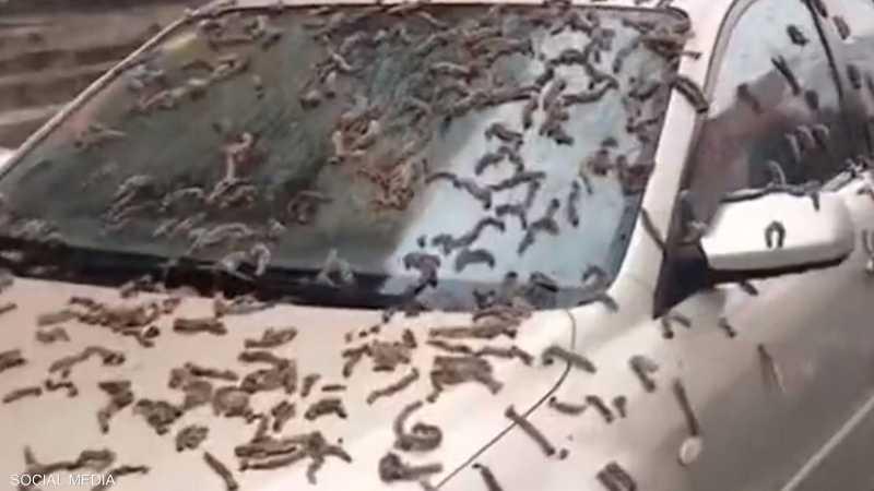 الظواهر الغريبة 