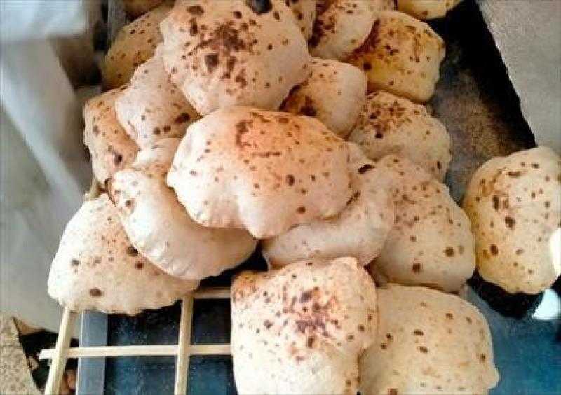 «التموين» تواصل تعاقدات القمح لتأمين إنتاج الخبز المدعم للمواطنين