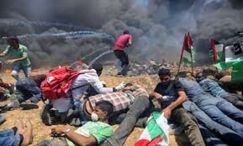 فلسطين ـ أرشيفية 