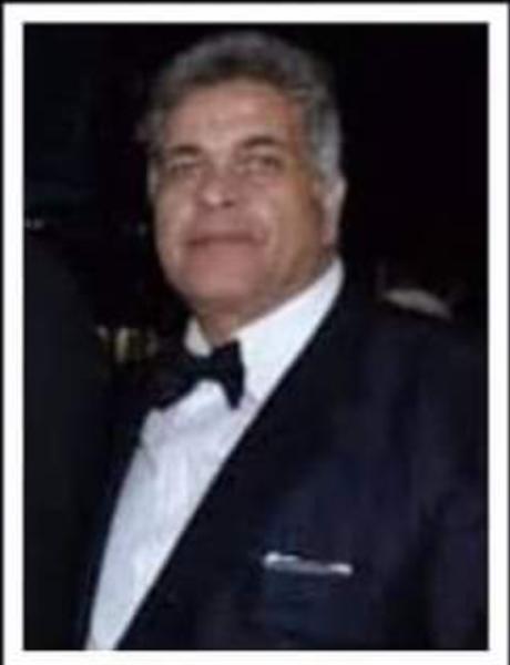 المهندس أحمد أبو العينين 