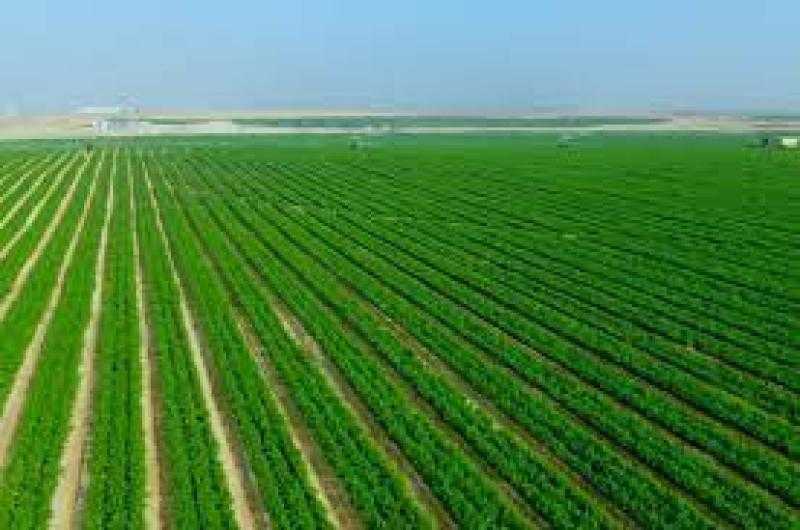 «الأعلى للاستثمار» يوجه بتسهيل تملك الأراضي واستيراد مستلزمات الإنتاج