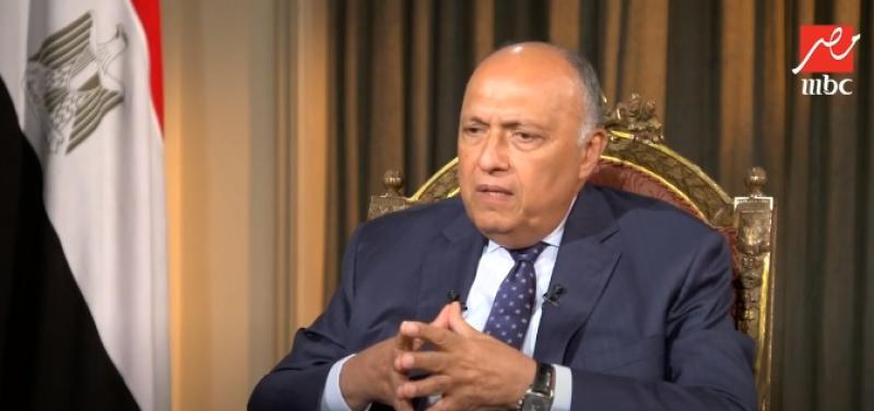 سامح شكري وزير الخارجية