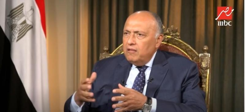 سامح شكري وزير الخارجية