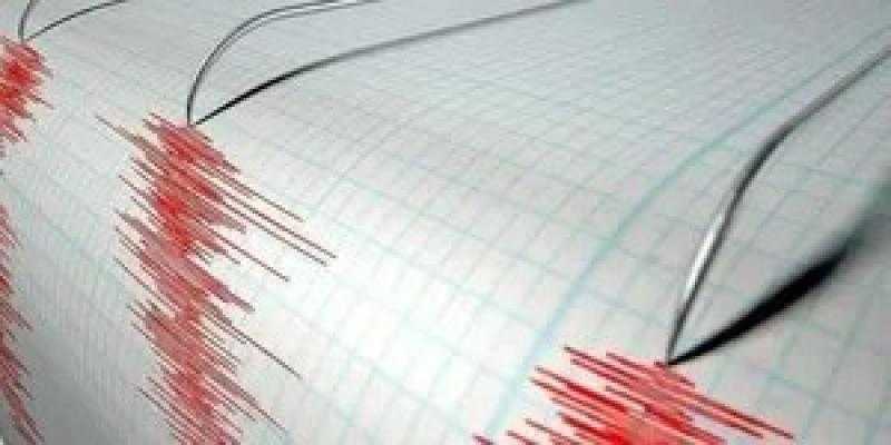 بقوة 5.3 درجة.. سلسلة من الزلازل تضرب محافظة بينجتونج في تايوان