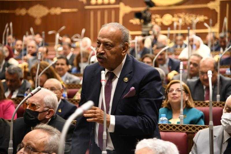 برلماني: خطاب السيسي بقمة جدة عكست أهمية التفاعل مع التداعيات العالمية بتعزيز التعاون العربي
