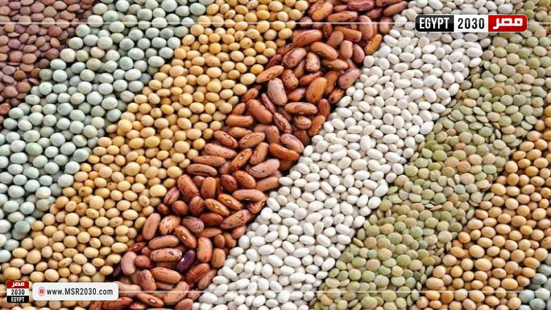 أسعار الفول اليوم