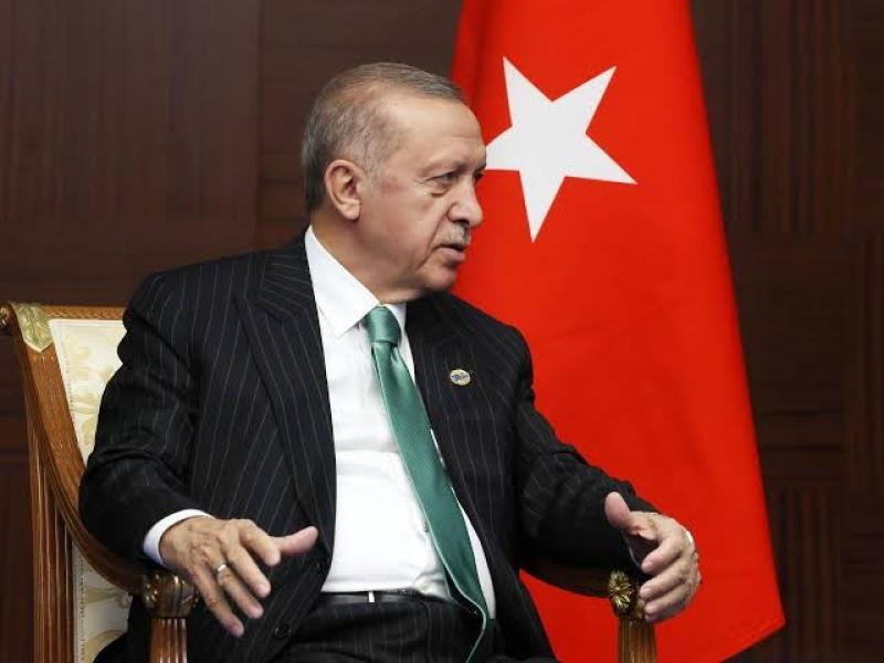 بشير عبدالفتاح: أردوغان ينجو من فخ ويقدم وعدًا لحل مشكلة اللاجئين