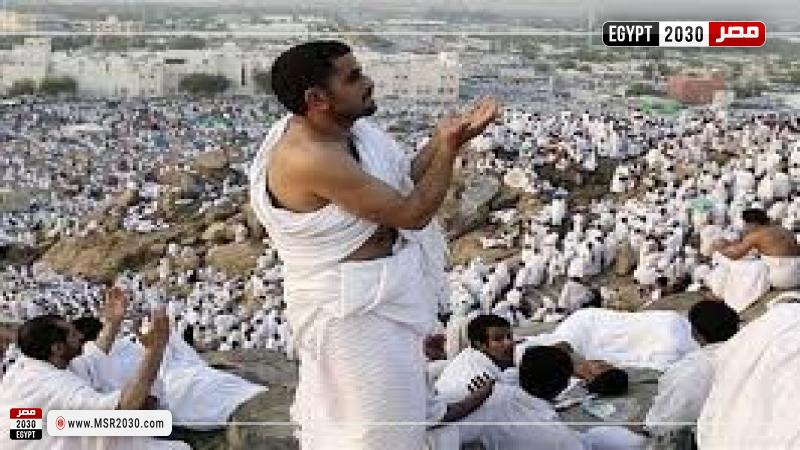 أرشيفية