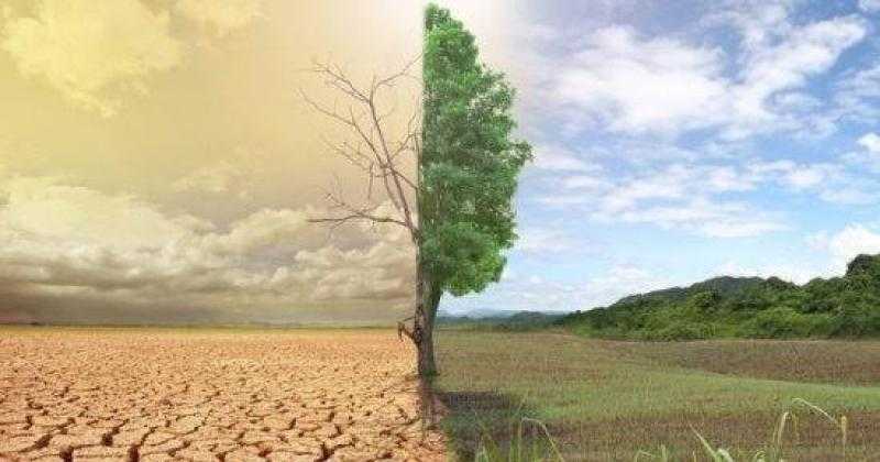إبراهيم الزعبي: الاستثمار وتنويع مصادر الطاقة أبرز حلول التغير المناخي.. فيديو