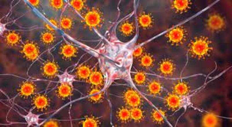 تحذير عاجل من فيروس جديد ينتشر بين هذه الفئات في الصيف