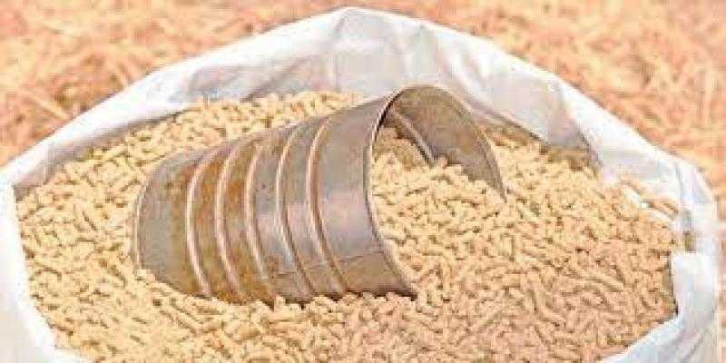 توريد 7000 طن قمح لشون وصوامع بالبحيرة