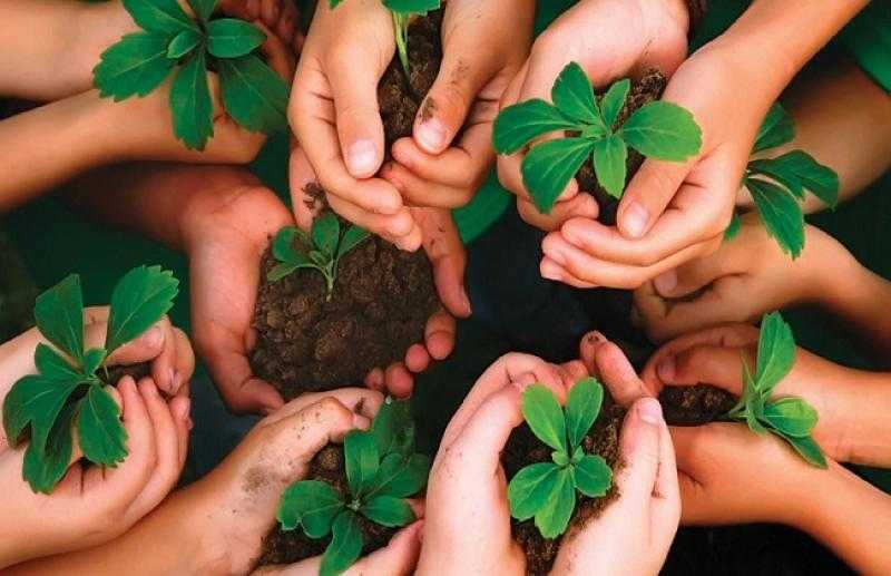 لماذا نحتاج إلى التحول للاقتصاد الأخضر؟.. فيديو