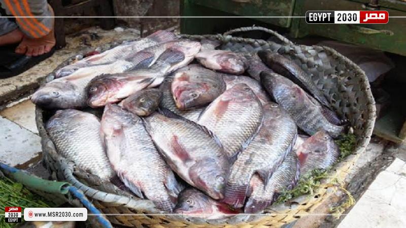 اسعار السمك اليوم للمستهلك