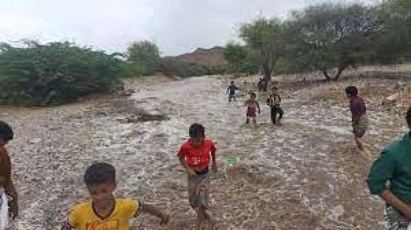 أمطار الجزائر 