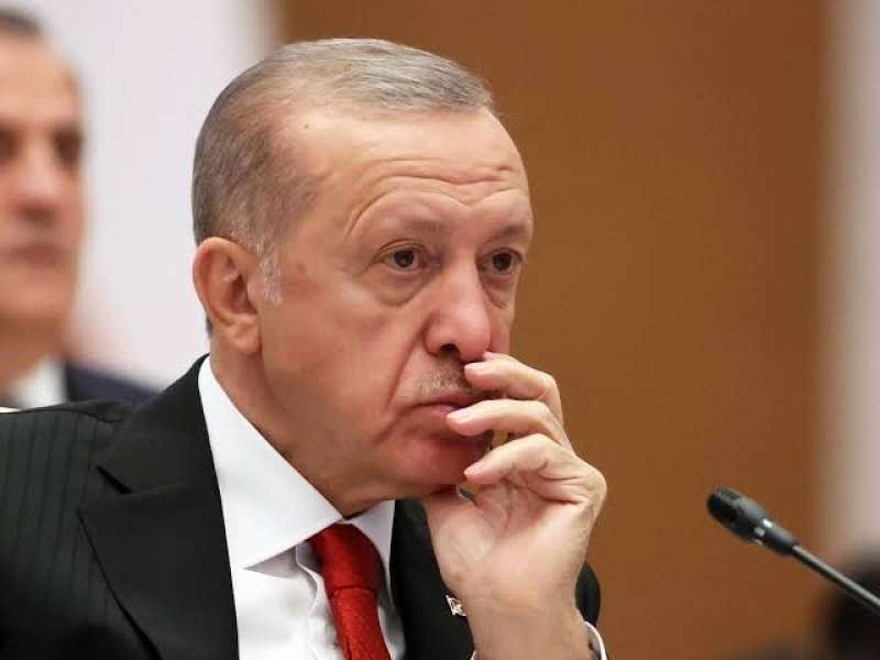 الرئيس التركي رجب طيب اردوغان 