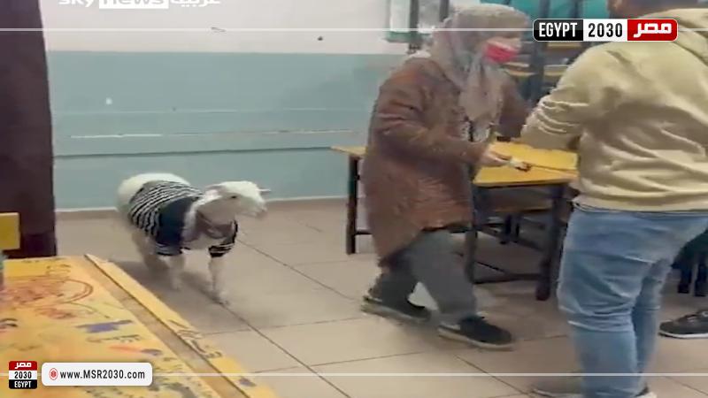 السيدة برفقة الخروف