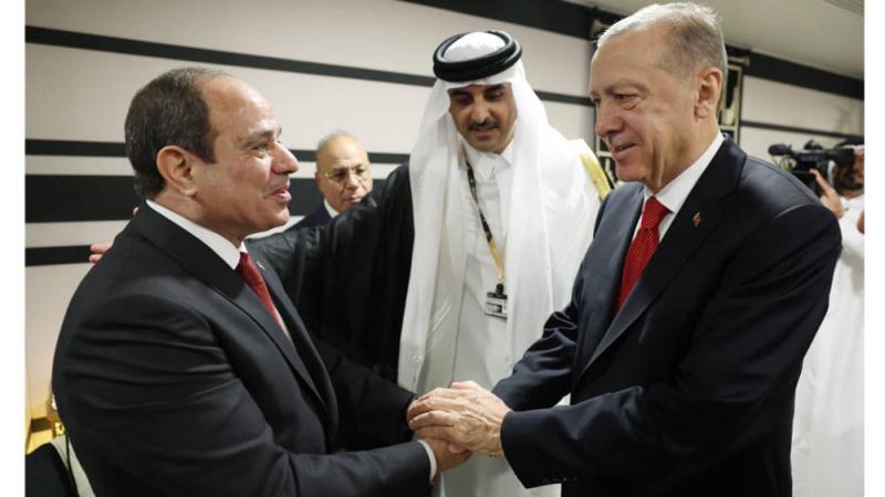 الرئيس السيسي وأردوغان