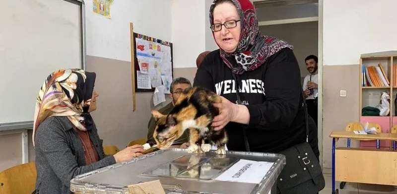 الانتخابات التركية 