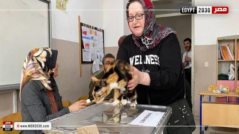 الانتخابات التركية