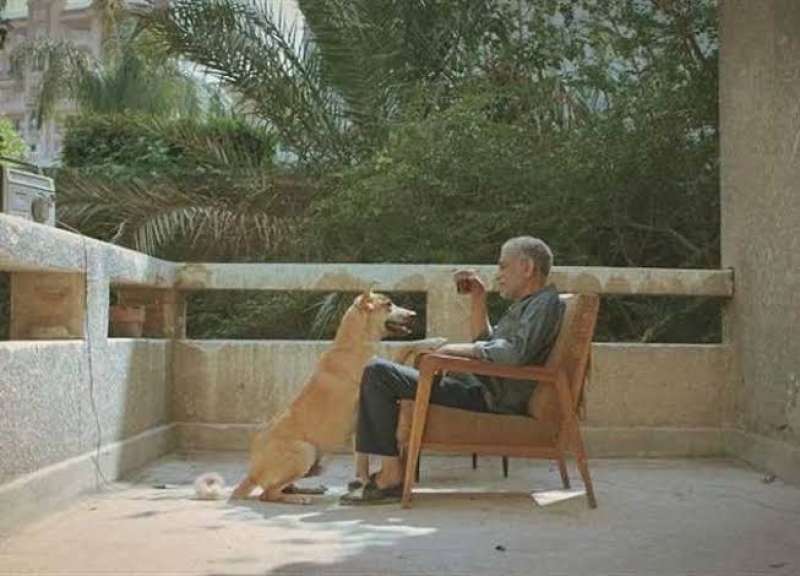 فيلم "19 ب"