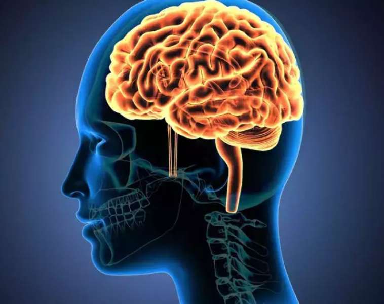 مرض التصلب المتعدد