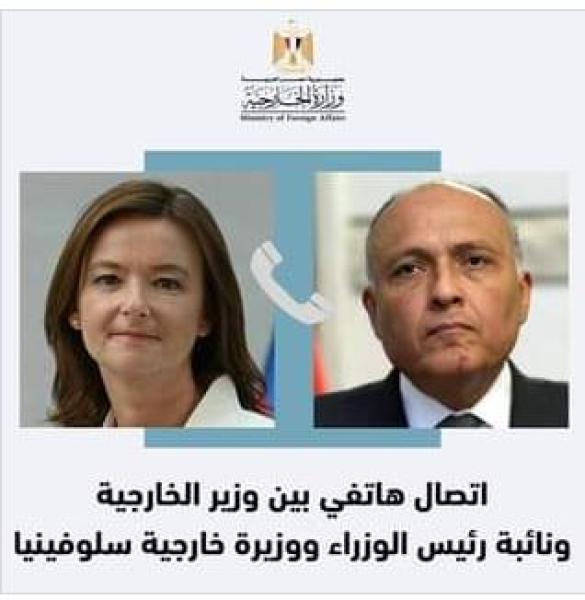 السفير سامح شكري