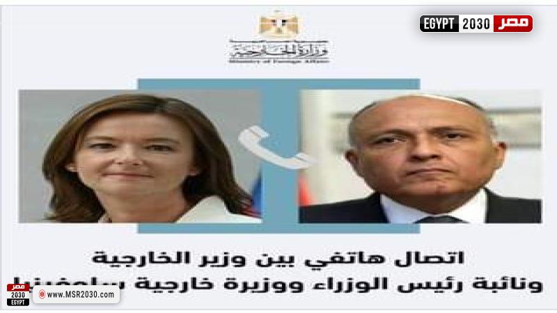 السفير سامح شكري