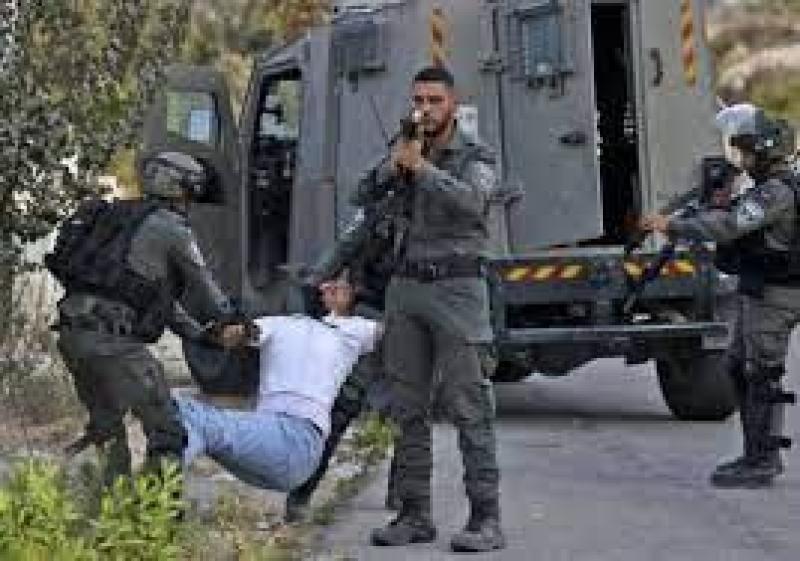 أرشيفية 