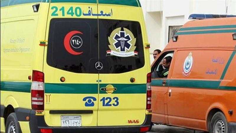 مصرع مسن وإصابة نجله في انقلاب سيارة على طريق الخارجة بالوادي الجديد