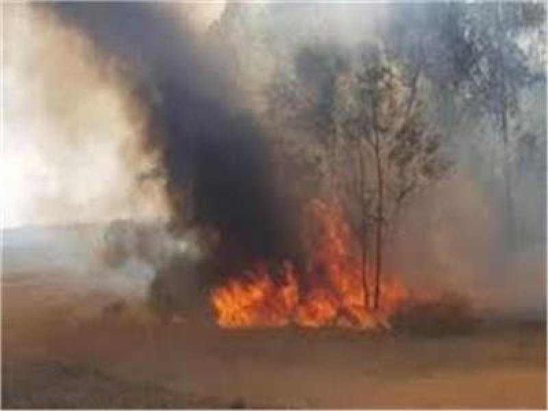 دون إصابات.. إخماد حريق في أرض فضاء بجوار مستشفى العدوة بالمنيا