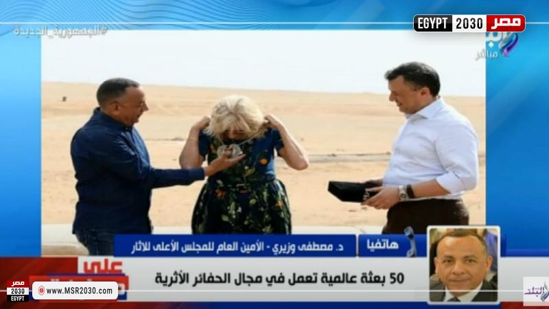 الدكتور مصطفى وزيري