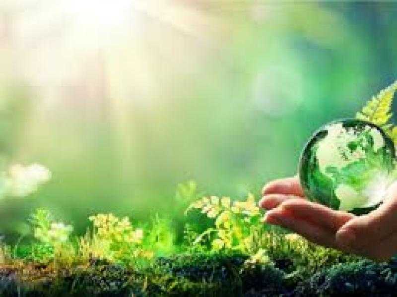 بمناسبة اليوم العالمي للبيئة.. 3 نصائح تقدمها الرعاية الصحية للحفاظ على الحياة