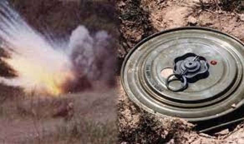 لغم 