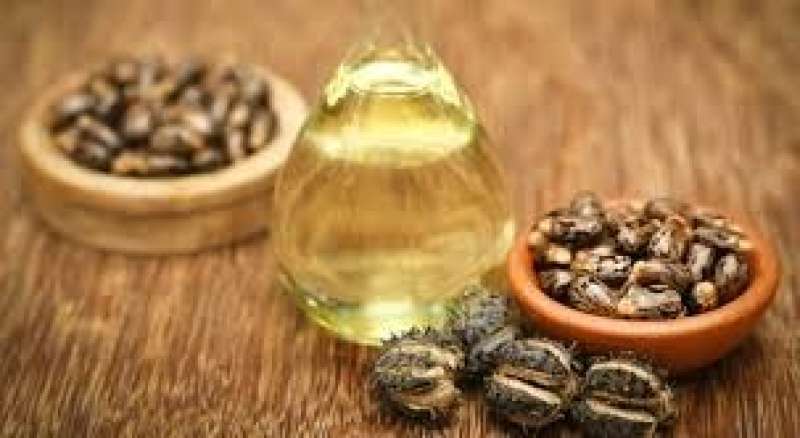 زيت الخروع 